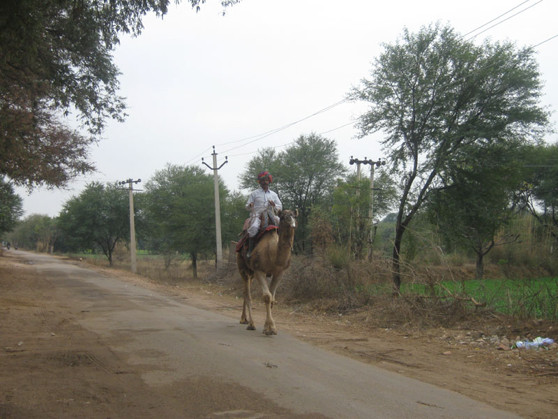 india