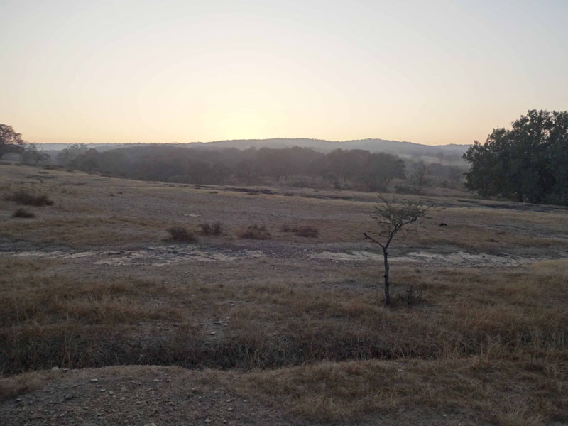 3_Ranth012