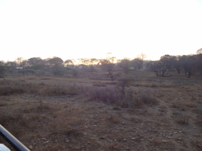 3_Ranth014