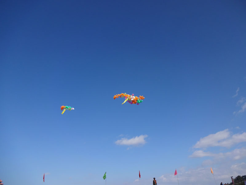 DSC00344
