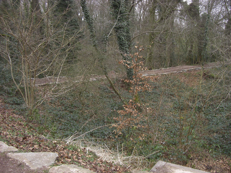 CIMG0707