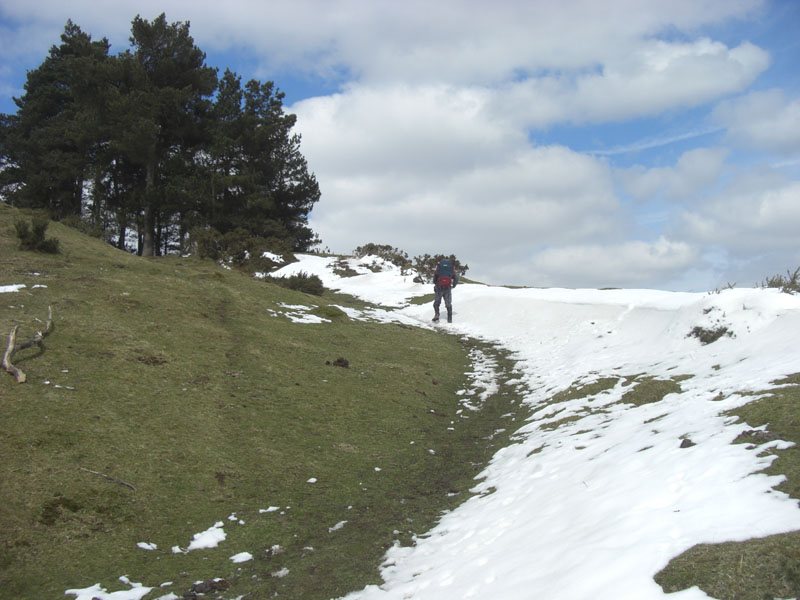 CIMG0773