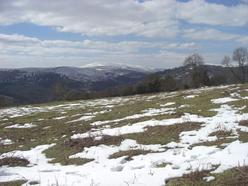 CIMG0774
