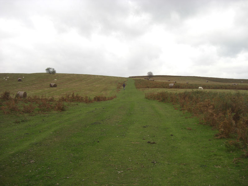 CIMG2314