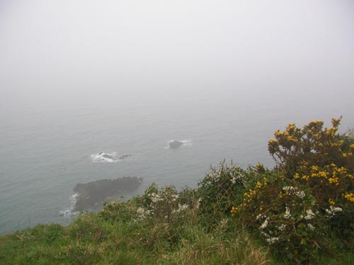 Dscn0359