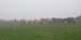 Dscn0360