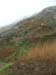 Dscn0369