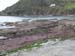 Dscn0386