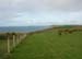 Dscn0399