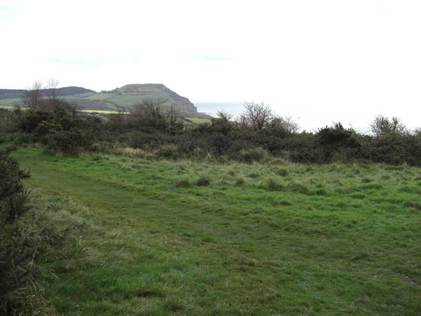 Coast