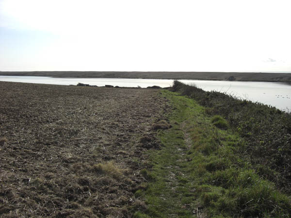Coast