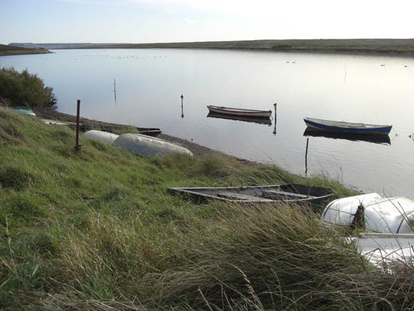 Coast