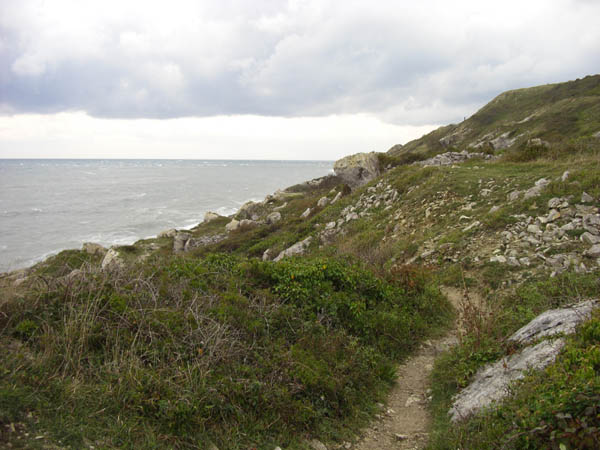 Coast