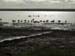 Coast