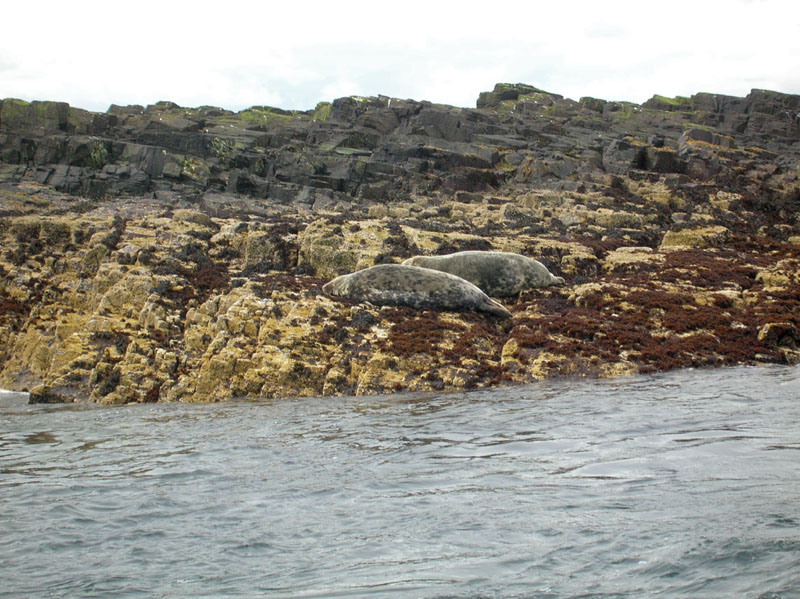 Northumberland