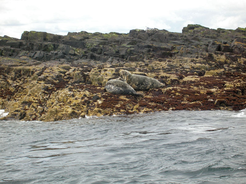 Northumberland
