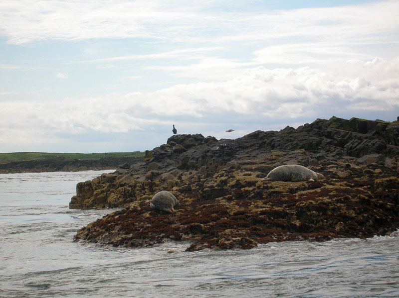 Northumberland