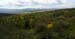 Northumberland