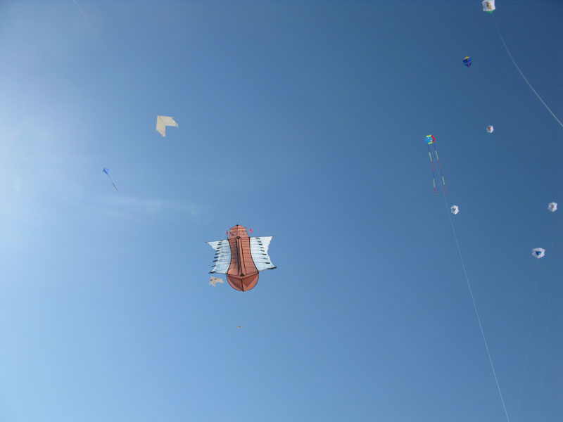 080