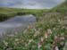 Ireland