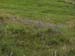 Ireland