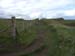 Ireland